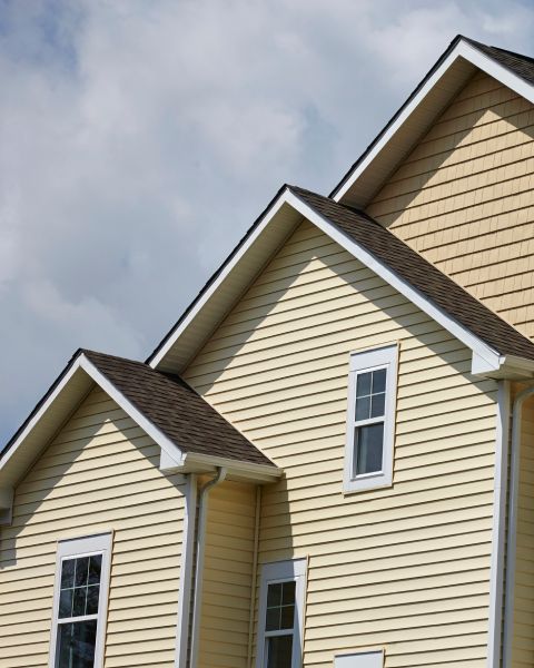 Gutters & Siding